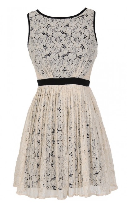 Classy Contrast A-Line Pleated Lace Dress in Ivory